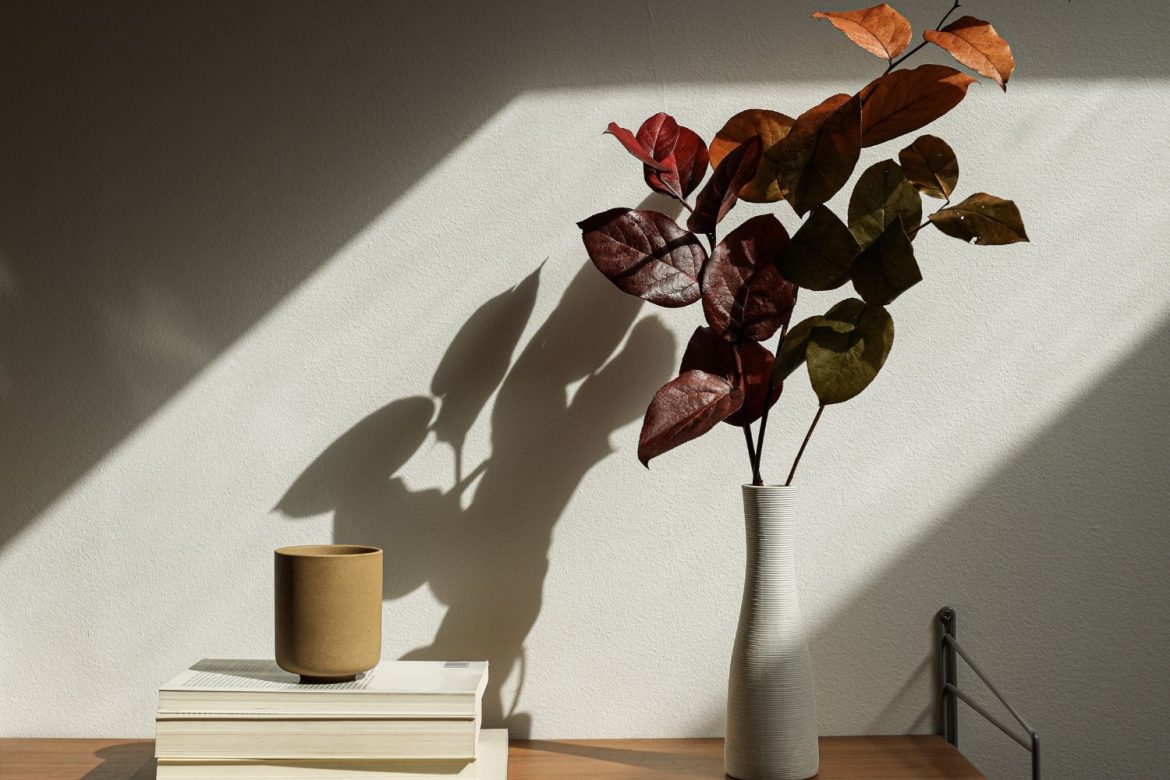 nellyberthele-regard-sur